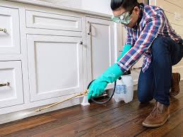 Best Residential Pest Control  in Rockwood, MI