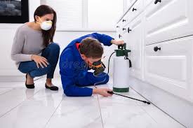 Best Emergency Pest Control  in Rockwood, MI